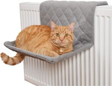 Cat hammock cats for sale  SALFORD