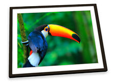 Quadro pôster arte verde floresta tropical pássaro tucano Toco, usado comprar usado  Enviando para Brazil