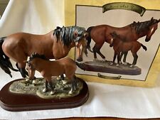 leonardo horses for sale  NORTHAMPTON