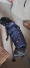 Joules dog coat for sale  NORWICH