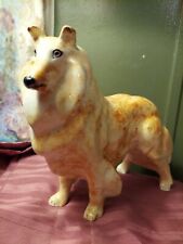 Collie lassie dog for sale  Darlington