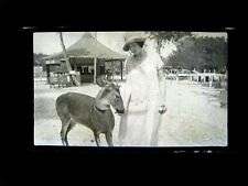 1920s woman feeding for sale  Chattanooga