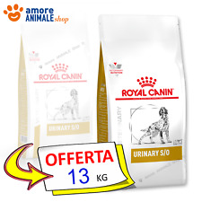 Royal canin dog usato  Serra De Conti