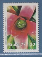 Brazil 1977 Nature Conservation Neoregelia Bromeliad Mi.-No. 1619 **, used for sale  Shipping to South Africa