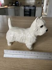 west highland white terrier for sale  PERRANPORTH