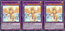 Yugioh enlightenment dragon d'occasion  Expédié en Belgium