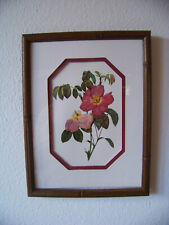 rosenbilder gebraucht kaufen  Rosenheim