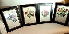 Vintage Framed Botanical Print Set Of Four 13.5" X 17.5" for sale  Shipping to South Africa
