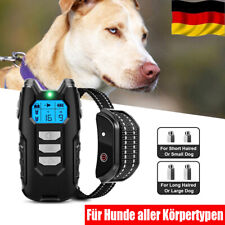 Hund ausbildung erziehungshals gebraucht kaufen  Deutschland