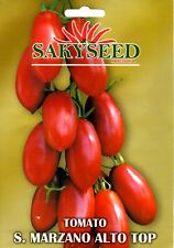 100 semi seeds usato  Morra De Sanctis