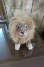 Vintage lion taxidermy for sale  Morristown
