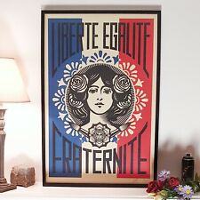 Shepard fairey liberté d'occasion  Landerneau