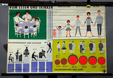 Schulwandkarte vintage poster gebraucht kaufen  Berghülen