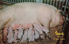 Iowa pork state for sale  Richardson