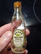Miniature rose lime for sale  BURY