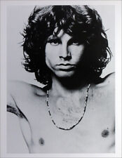 Doors poster page for sale  UK