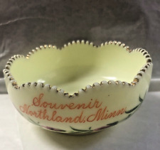Custard souvenir glassware for sale  Puposky