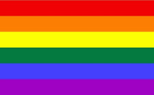 Flagge fahne regenbogen gebraucht kaufen  Lünen-Nordlünen