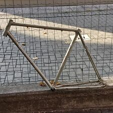 Bianchi telaio nudo usato  Italia