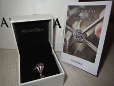 Raro pandora charm usato  Fratta Polesine