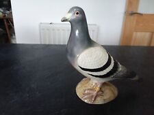 Beswick racing pigeon for sale  NORWICH