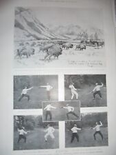 Printed sword fencing for sale  ILFRACOMBE