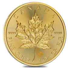 2024 canadian gold for sale  New York