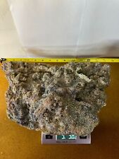 saltwater fish live rock for sale  El Cajon