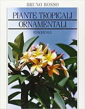 Piante tropicali ornamentali usato  Gazzada Schianno