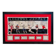 Legends sport 27.5x43.5 for sale  Toms River