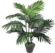 Leaf palma artificiale usato  Brisighella