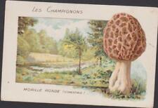 Chromo ancien champignons d'occasion  Dijon