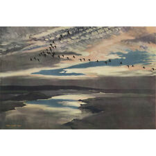 Brent geese flighting for sale  Shipping to Ireland