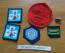 Girlguiding assorted badges for sale  ORPINGTON