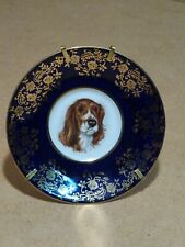 Assiette miniature limoges d'occasion  Saint-Apollinaire