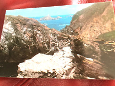 Shetland postcard gannet for sale  SHETLAND