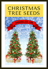 Grow christmas tree for sale  Massillon