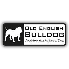 English bulldog aufkleber gebraucht kaufen  Hofgeismar