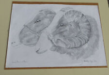 Pencil drawing jacob for sale  BRIDGWATER