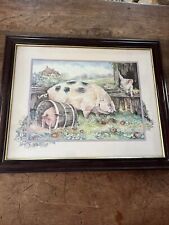 Framed farmyard pig for sale  COLEFORD