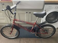 raleigh arena bike for sale  ALSTON