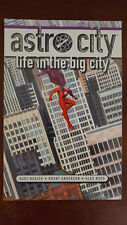 Astro City: Life in the Big City (DC Comics) TPB Brochura Busiek comprar usado  Enviando para Brazil