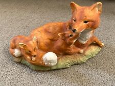 Vixen fox cub for sale  THETFORD