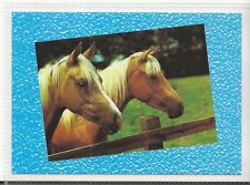 Horse postcard two for sale  ALTON