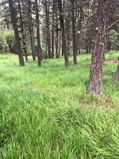 Vacant land washington for sale  North Bend