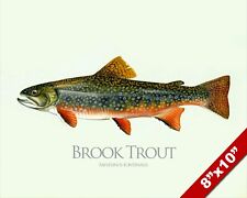 Brook trout fish for sale  South Jordan