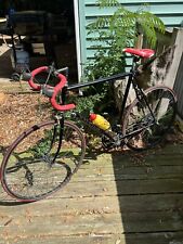 Vintage 1984 raleigh for sale  Fort Walton Beach