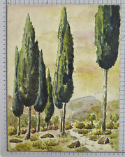 Paesaggio con cipressi usato  Torino