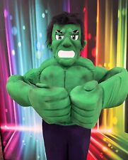 mascot hulk for sale  DUDLEY