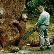 Bear chainsaw carving for sale  Cedar Springs